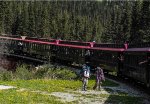 Dropping off backpackers at Glacier Station